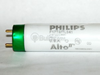 17 Watt, 24 Inch T8 Cool White Fluorescent Bulb -- 367938 - Image