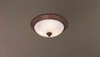 Flush Mounts-Bowl Style - 214754 - Light Center (The)