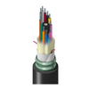 Fiber Optic Cables - 135-TR-SLD-144-NSUN-ND - DigiKey
