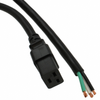 Power, Line Cables and Extension Cords - 285-HFE/C19-U-O-ND - DigiKey