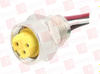 Plug/Receptacle - 1009663 - Radwell International