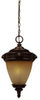 75537-14 Exterior -Hanging - 782431 - Capital Lighting, Inc.
