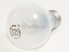 50 Watt, 250 Volt A19 Frosted Bulb - 245696 - bulbs.com