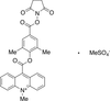 2’,6’-Dimethylcarbonylphenyl 10-Methyl-9-acrid.. - D471890 - Toronto Research Chemicals, Inc.
