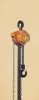 Chain Block - Bulldog WLL ton 0.5 -- 500100050300010 - Image