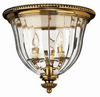 3612BB Flush Mounts-Cage Style - 791341 - Capital Lighting, Inc.