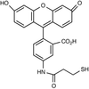 2-[(5-Fluoresceinyl)aminocarbonyl]ethyl Mercaptan -- 10279