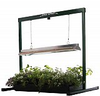 Jump Start Grow Light System - 2 Ft. (Stand, Fixture & Tu.. - JSV2 - Hydrofarm, Inc.