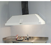 Cole-Parmer Ducted Wall Canopy Fume Hood, 36