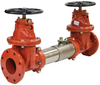 Double Check Valve Assemblies, Stainless Steel -- 757, 757N - Image