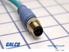 PNDT Sensor Cordsets - ICD11T1NTL5M - Galco Industrial Electronics