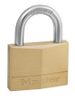 Padlocks -- 108931 - Image