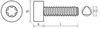 Thread Rolling for Metal T-Drive (6-Lobe) Socket Cap Form E Zinc Plated (CR3) Screws