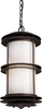 42153/1 Exterior -Hanging - 434548 - Capital Lighting, Inc.