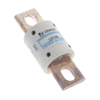 Electrical, Specialty Fuses -- L17T250.T-ND