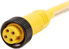 Sensor Cord, 7/8 Rcpt-Free End, 16.4 ; Connector Type A Amphenol Sine/tuchel - 47AC7642 - Newark, An Avnet Company