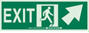 Glow-in-the-Dark Exit & Directional Sign - 90589 - Brady Corporation