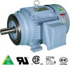Hyundai Premium Efficiency Motors: C-Face, Hyundai C-Face: Rigid Base, Factory F2 Mount -- HHI100-18-405TSC-F2