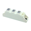 Discrete Semiconductor Products - Diodes - Rectifiers - DD100N16SHPSA1 - Shenzhen Shengyu Electronics Technology Limited