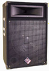 ProPower Series PA Speaker - PS115 - Visual Sound, Inc.