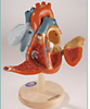 Denoyer Geppert Heart of America -- DGA40 - Image