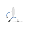 RF Antennas - CFD69716P-30NF - Quarktwin Technology Ltd.