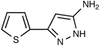 5-Amino-3-(2-thienyl)pyrazole - 6812 - Medical Isotopes, Inc.