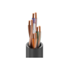 Multiple Conductor Cables -- 135-7931A0101000-DS-ND - Image