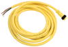 Cord, 7/8-16 Pin Contacts, 4 Position, Straight Plug; Connector Type A Molex - 31M6368 - Newark, An Avnet Company