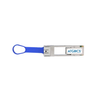 Fiber Optic Transceiver Modules - 4636-CVR-QSFP-SFP10G-C-ND - DigiKey