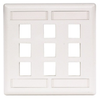 Datacommunication Face Plate -- IFP29W - Image