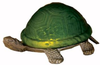 Lamps-Accent Lamps - 210383 - Light Center (The)