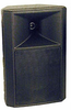 Full-Range, 2-Way Speaker with 10