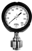PTR Series Tamper Resistant Process Gauge -- PTR5061R1 - Image