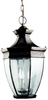 Exterior -Hanging - 634833 - Light Center (The)