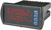 Dual-Line Rate/Totalizer Meter -- DS3000 - Image