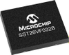 Flash Memory -- 1975863P - Image