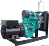 Cummins 40 kW Diesel Generator