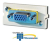 Legrand - Ortronics Series II DB15-HD F/F VGA Module - OR-60900270 - TelephoneStuff.com