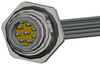 Sensor Cord, 8P M12 Plug-Free End, 6; Connector Type A Norcomp - 17AH5399 - Newark, An Avnet Company