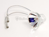 6.6 Amp, 40 Watt Dichroic Halogen Airfield Lamp - 6102 - bulbs.com