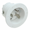 Plugs and Receptacles - WM22405-ND - DigiKey