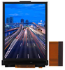 Display Modules - LCD, OLED, Graphic - 3190-DLC0283BDP04DF-4-ND - DigiKey