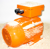 Dust Proof Electrical Motors - dust-proof-electrical-motors - BARTEC