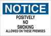 No Smoking Sign - 88388 - Brady Corporation