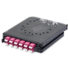FX ECX CASS OM4 12P W/250-PT LC_DX EV_ADP - FC4X12LDFP - Belden Inc.