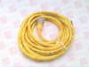 QD Cable/Cord Set - 555066 - Radwell International