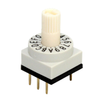 DIP Switches - 2449-RD10RB16CTT-ND - DigiKey