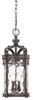 9224-256 Exterior -Hanging - 612559 - Capital Lighting, Inc.