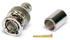 BNC CRIMP PLUG 75 OHM 1694A -- 10-03001-237 - Image